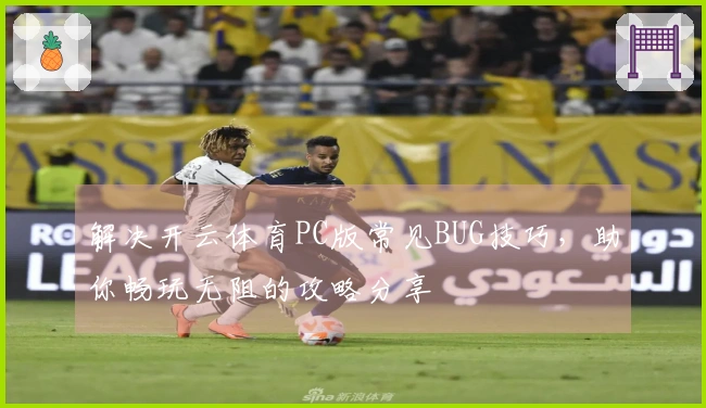 解决开云体育PC版常见BUG技巧，助你畅玩无阻的攻略分享