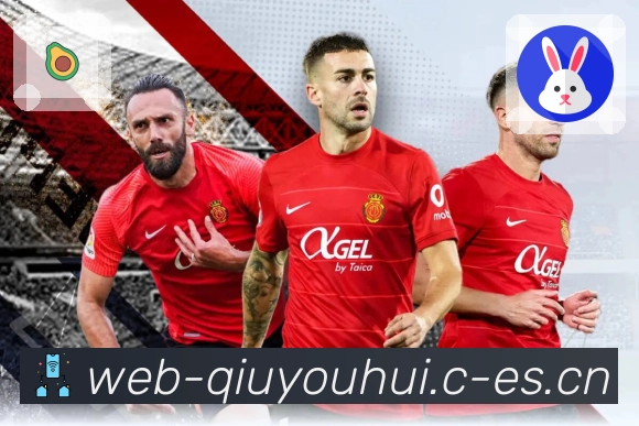 功能与合规认证展示